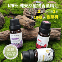 [7370 Lời khen ngợi của mọi người] Tinh dầu Ylang Ylang Tinh dầu thơm tự nhiên Nguyên chất Cây trà Chăm sóc tóc Hoa hồng một mặt Chăm sóc da mặt Massage Gua Sha Lavender Sleep Aid 0224