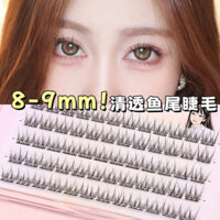 8-9mm Tự Nhiên Ngắn Đuôi Cá Lông Mi Giả Nữ Mô Phỏng Trang Điểm Hoa Hướng Dương Phân Đoạn Lông Mi Siêu Mềm