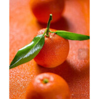 8 Cam Cam Cam Mousse Khuôn Bánh Ngọt Pháp Bánh Mô Phỏng Khuôn Trái Cây