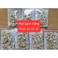 80 viên Hạt sành trắng - Hạt cây tự nhiên hỗ trợ Dạ Dày và Đại tràng