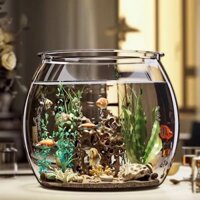 844 Bộ Sưu Tập Người Để Bàn Bể Cá Nhựa Hộ Gia Đình Kính Phòng Khách Văn Phòng Cá Vàng Cây Xanh Trang Trí Cảnh Quan Nhỏ Sinh Thái 25.1.16