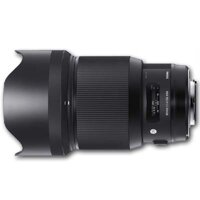 85mm f1.4 DG DN Art Lens Sony-E