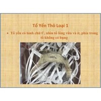 8g yến thô loại 1 + 🍎+đường phèn