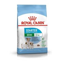 [8kg] Hạt Royal Canin Mini Starter Mother & Baby dog cho chó mẹ và chó con tập ăn