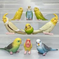 9 Cái / bộ 3-5cm Mô Phỏng Chim Hoang Dã Động Vật Đồ Chơi Dễ Thương Mini Vẹt Mô Hình Nhân Vật Hành Động Thu Nhỏ Bộ Sưu Tập Trang Trí Cho Trang Trí Gia Đình