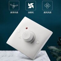 [95% Đánh giá Tích cực] Bảng điều khiển tốc độ đơn 300W Quạt trần gia đình trong lớp học Điều chỉnh tốc độ 220V Dây không bước WWSB
