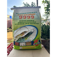 9999 Con Đại Bàng 🦅 [ bao 10kg] tạo màu nước , gây trùn chỉ ốc gạo