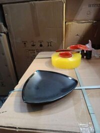 A-5-328 . Khay đĩa phíp đen ( Thung 120c )