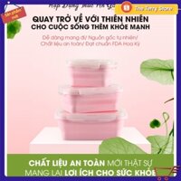 ✴️ Bộ 3 hộp đựng thức ăn gấp gọn bảo quản thực phẩm