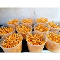 ✅️ Đông Trùng Tươi ĐLT [CHÍNH HÃNG] bổ trợ sức khỏe tuổi trung niên, đem đến sự dẻo dai