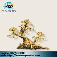 ⚜️ Layout ⚜️ Cây Bonsai mini bể thủy sinh , bể cá cảnh " BỂ CÁ HÀ NỘI "