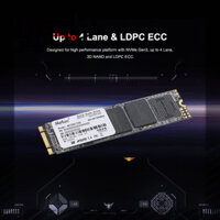 𝙂𝙄Á 𝙂Ố𝘾 Ổ Cứng SSD M2 2280 SATA 120GB Netac N535N Chính Hãng - Mới Bảo hành 36 tháng 1 đổi 1 - SHOP BÁN HÀNG UY TÍN