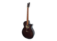ÄÃ n Acoustic Guitar GA- 10 EL