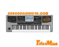 ÄÃ n Korg Pa900 má»›i