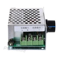 AC Input 220V for DC Output 10-210V PWM 220V for DC Brush Motor Speed Controller