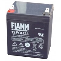Ắc quy 12V-5Ah FIAMM 12FGH23 dòng UPS