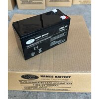 Ắc quy 12V 9Ah dùng cho loa kéo, lưu điện cửa cuốn, bình tuốc sâu, UPS