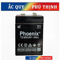 Ắc quy chạy quạt, xe ô tô trẻ em Phoenix 6V - 5Ah TS650