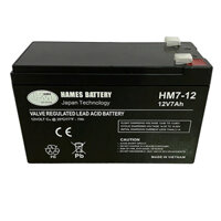 Ắc quy chì khô kín dùng cho UPS Hames Battery HM9-12 12V-9AH