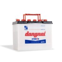 ẮC QUY ĐỒNG NAI 12V - 65AH NS70