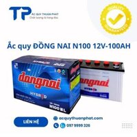 Ắc quy Đồng Nai N100 12V-100AH