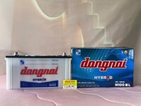 Ắc quy Đồng Nai N100 12V-100AH