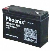 Ắc quy dùng cho xe điện 6V-12A Phoenix