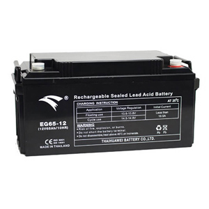 Ắc quy Eagle EG65-12 - 12V-65Ah