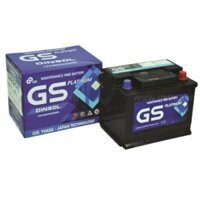 Ắc Quy GS 60Ah – 12V (Din60R/L) Khô – Giá Tốt