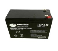 Ắc Quy Hames HM7.5-12 12V 7.5Ah – Ắc Quy UPS, Loa Kéo & Lưu Điện