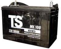 ẮC QUY KHÔ 12V-100AH (MF31S-800)