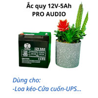 Ắc quy khô 12V-5Ah PRO AUDIO Cho Loa kéo, UPS,Cửa cuốn...(Kích thước: 9*7*10CM)- Bảo hành 12 tháng