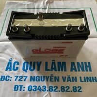 ẮC QUY KÍCH CÁ GLOBE 12V 30AH N30