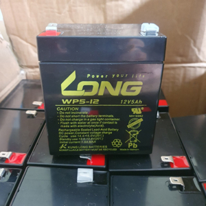 Ắc quy Long 12V 5Ah WP5-12