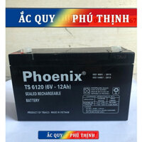 Ắc quy lưu điện Phoenix 6V - 12Ah TS6120