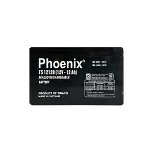 Ắc quy Phoenix TS12120 (12V-12Ah)