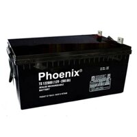 Ắc quy Phoenix 12V 200AH TS122000 dòng viễn thông
