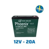 ẮC QUY PHOENIX 12V-20Ah (TS12200)