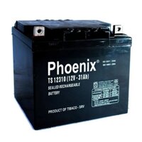 Ắc quy Phoenix 12V 31AH TS12310 dòng viễn thông