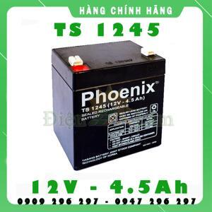 Ắc quy Phoenix 12V-4.5Ah TS1245
