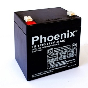 Ắc quy Phoenix 12V- 4.5Ah TS1250