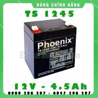 ẮC QUY PHOENIX 12V-4,5Ah (TS1245) KÍN KHÍ CN