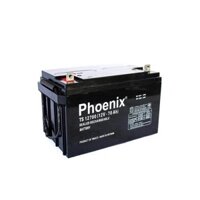Ắc quy Phoenix 12V 70AH TS12700 dòng viễn thông