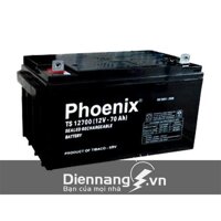 Ắc quy phoenix 12v-70ah ts12700