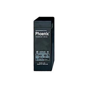 Ắc quy Phoenix 2V-100Ah TS21000