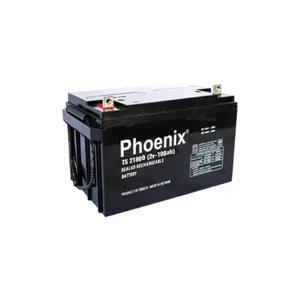 Ắc quy Phoenix 2v-180ah TS21800