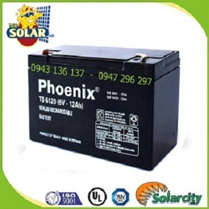 Ắc quy Phoenix 2v-100ah TS61000