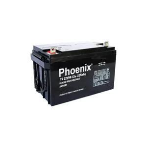 Ắc quy Phoenix 2v-225ah TS22250