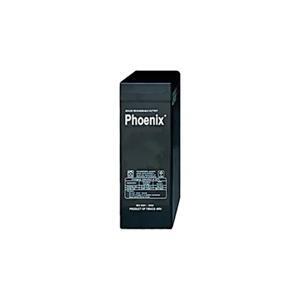 Ắc quy Phoenix 2v-600ah TS26000