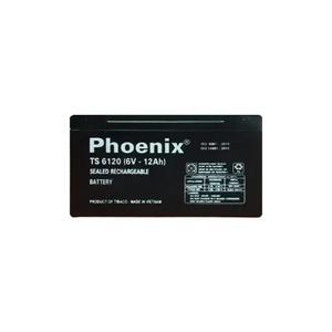 Ắc quy Phoenix TS6120 6V-12AH